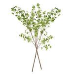 Product Image 5 for Shady Lady Black Olive Branches , Set Of 2 from Napa Home And Garden