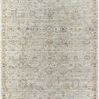 Traditional machine woven rug in taupe and charcoal with subtle floral motifs and a distressed border