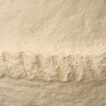 Product Image 2 for Basin Paper Mache Vase from Jamie Young