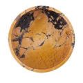 Overhead shot showing the full interior surface with complex veining in peach and dark purple hues