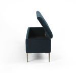 Product Image 9 for Rennie Trunk from Four Hands