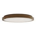 Product Image 1 for Aydan Flush Mount from Currey & Company