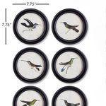 Product Image 2 for Hummingbird Round Petite Prints, Set Of 6 from Napa Home And Garden
