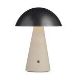 Product Image 1 for Struzzo Rechargeable Accent Lamp from Arteriors