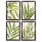 Product Image 1 for Tropical Leaf Prints, Set Of 4 from Napa Home And Garden