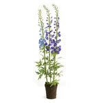 Product Image 1 for Delphinium Drop In 53" from Napa Home And Garden