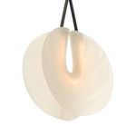 Product Image 8 for Tyche Pendant from Arteriors