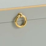 Close-up of round gold metal handle and gold trim on gray wooden box