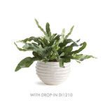 Product Image 5 for Avani Pot from Napa Home And Garden