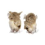 Rear view showing textured feathered backs and tails of the horned owl sculptures