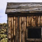 Product Image 5 for Portal by Shade Degges - Rustic 1.5 Walnut from Four Hands