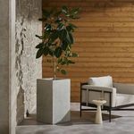 Side view of planter in patio setting with leafy plant, wooden wall, and outdoor lounge chair