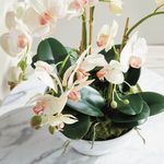 Product Image 5 for Phalaenopsis Orchid Bowl Drop-In 18.5" from Napa Home And Garden