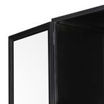 Product Image 10 for Shadow Box Cabinet from Four Hands