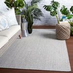 Rug styled in a bright room with wicker sofa, green plants, and wooden floor