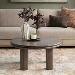Product Image 6 for Miranda Mango Wood Coffee Table from Classic Home