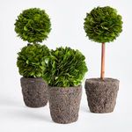 Product Image 3 for Boxwood Topiary Drop-Ins, Set Of 3 from Napa Home And Garden