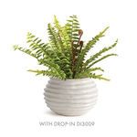 Product Image 5 for Avani Pot from Napa Home And Garden