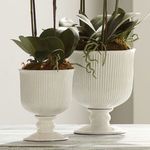 Product Image 4 for Sinclair Footed Urn from Napa Home And Garden