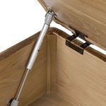 Product Image 13 for Iris Trunk from Four Hands