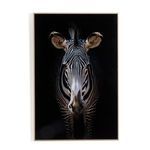 Product Image 7 for Zebra Stare By Getty Images from Four Hands