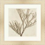 Product Image 1 for Brilliant Seaweed Vii from Surya