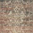 Full top-down view of Jasmine Natural / Multi Rug displaying overall distressed multicolor pattern and intricate border