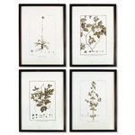 Framed Sepia Tone Botanical Prints, Set Of 4 image 1