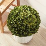 Product Image 4 for Boxwood Ball from Napa Home And Garden