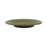 Product Image 1 for Bosque Stoneware Dessert Plate from BIDKHome