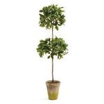 Product Image 1 for Faux Ficus Topiary in Pot, 31" from Napa Home And Garden
