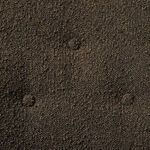 Product Image 8 for Marnie Chair from Four Hands