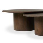 Product Image 8 for Stuart Nesting Coffee Table Set from Four Hands