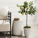 Product Image 2 for Kathryn Pots, Set Of 2 from Napa Home And Garden