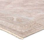 Product Image 2 for Orame Medallion Mauve / Light Blue Rug from Jaipur 
