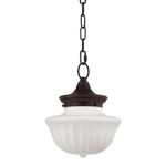 Product Image 1 for Dutchess 1 Light Small Pendant from Hudson Valley