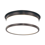 Product Image 1 for Geneva 2 Light Flush Mount from Hudson Valley