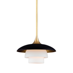 Product Image 1 for Barron 1 Light Pendant from Hudson Valley