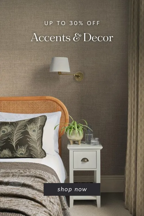 Scout and Nimble logo