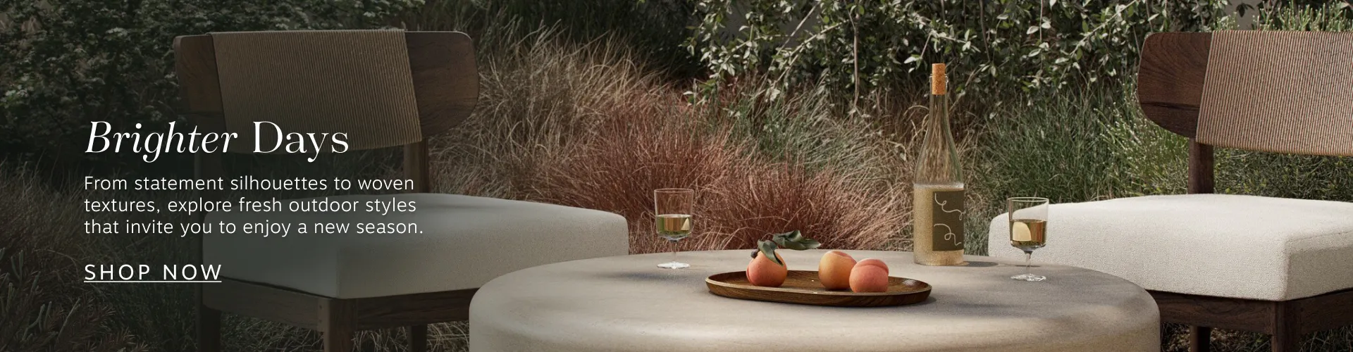 Scout and Nimble logo