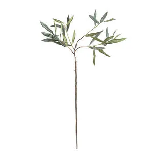 Product Image 1 for Olive Stems , Set Of 4 from Napa Home And Garden