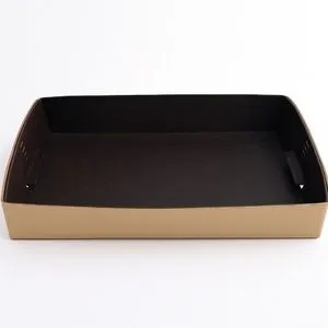Rectangular Napa Leather Brown Tray with smooth dark brown interior and lighter brown exterior