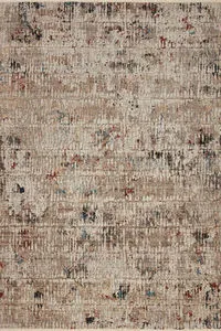Top-down full view of Leigh Ivory / Multi Rug showing overall distressed pattern and colors