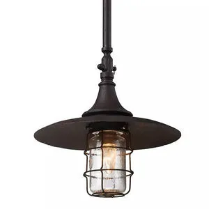 Product Image 1 for Allegheny 1 Light Hanger from Troy Lighting