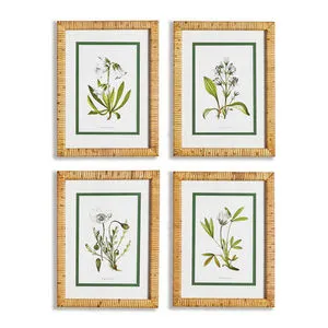 Product Image 1 for White Floral Study, Set Of 4 from Napa Home And Garden