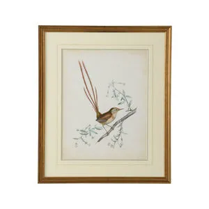 Product Image 1 for Delicate Birds I Artwork from Chelsea House