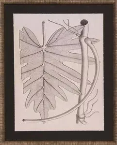 Product Image 1 for Lively Leaves I Art from Shadow Catchers