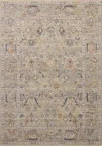 Rectangular vintage style area rug with intricate beige and grey floral motifs and a decorative border