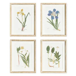 Product Image 1 for Assorted Pressed Flower Study, Set of 4 from Napa Home And Garden