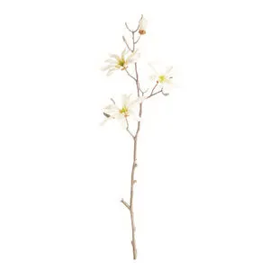 Product Image 1 for Star Magnolia Branches , Set Of 6 from Napa Home And Garden